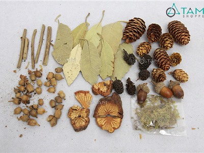 Set phụ kiện khô trang trí handmade F-HKHO-01